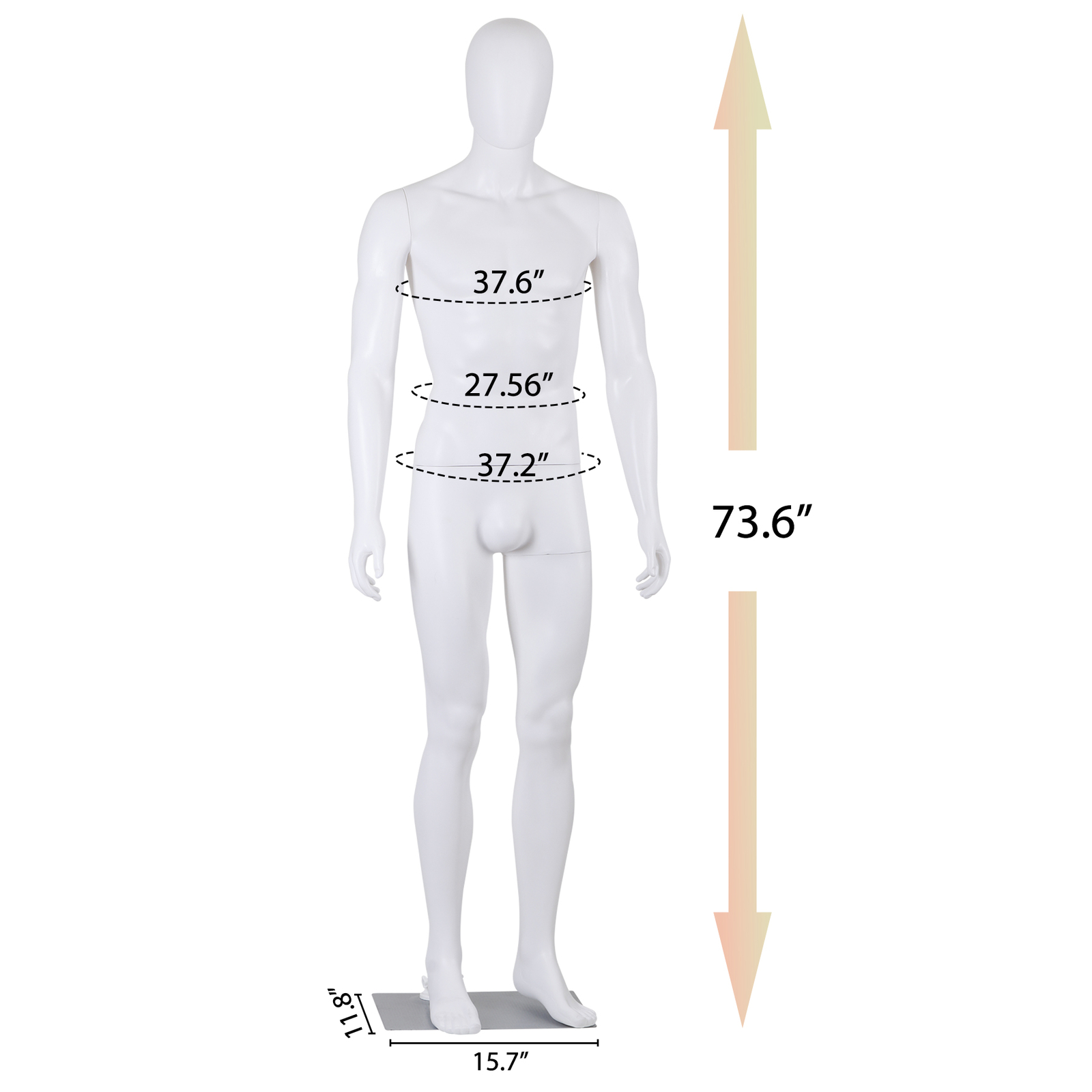 Male Mannequin Full Body Dress Form Adjustable 73Inch Realistic Detachable White