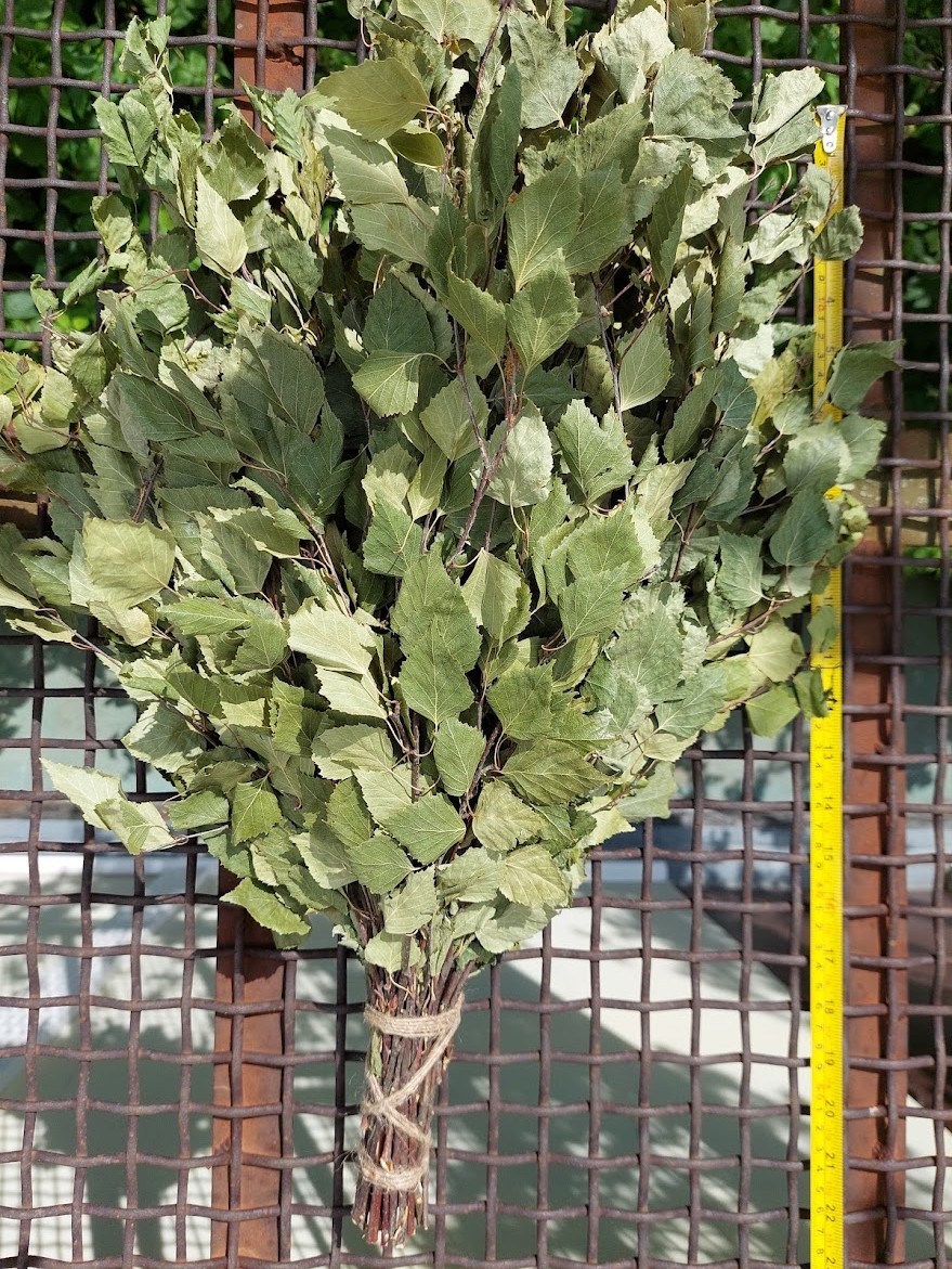 12st Birch brooms sauna banya venik whisks Eiche 2025 Ukrainian free shipping