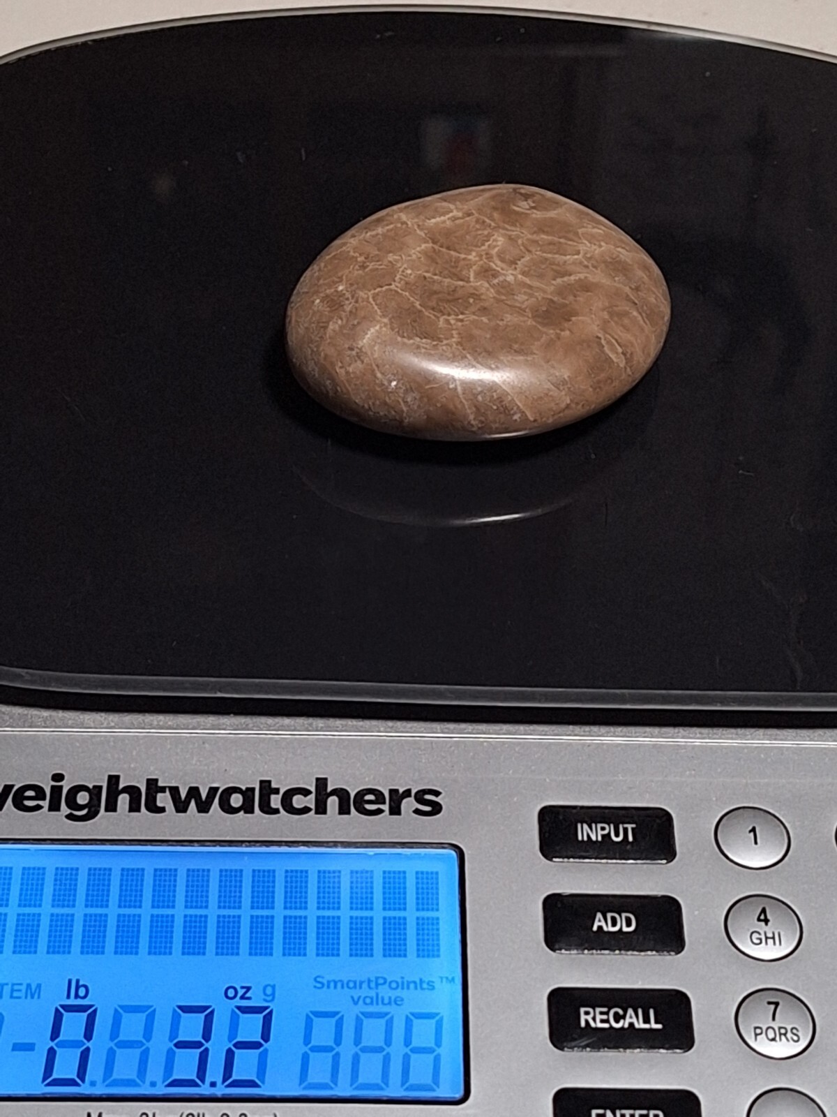 Hand polished Petoskey Stone, sm/md size. Semi precious, treasure, gift, fossil