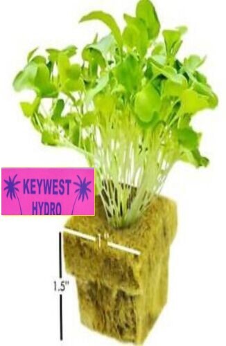 1.5 " GRODAN ROCKWOOL CUBES 2/6/12/28/ 50/100 (orders go same/next day ship-out)