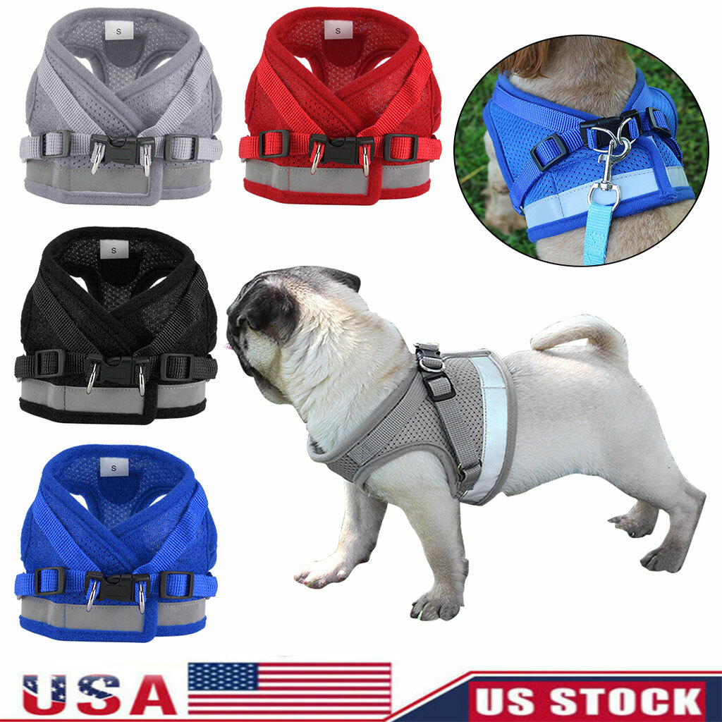 Small Dog Puppy Pet Harness Breathable Mesh And Leash Set Vest Chest Strap XS-XL