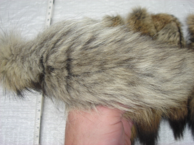 #1 Quality XL Tanned Western Coyote Tails/Crafts/Real USA Fur Tail/Harley parts