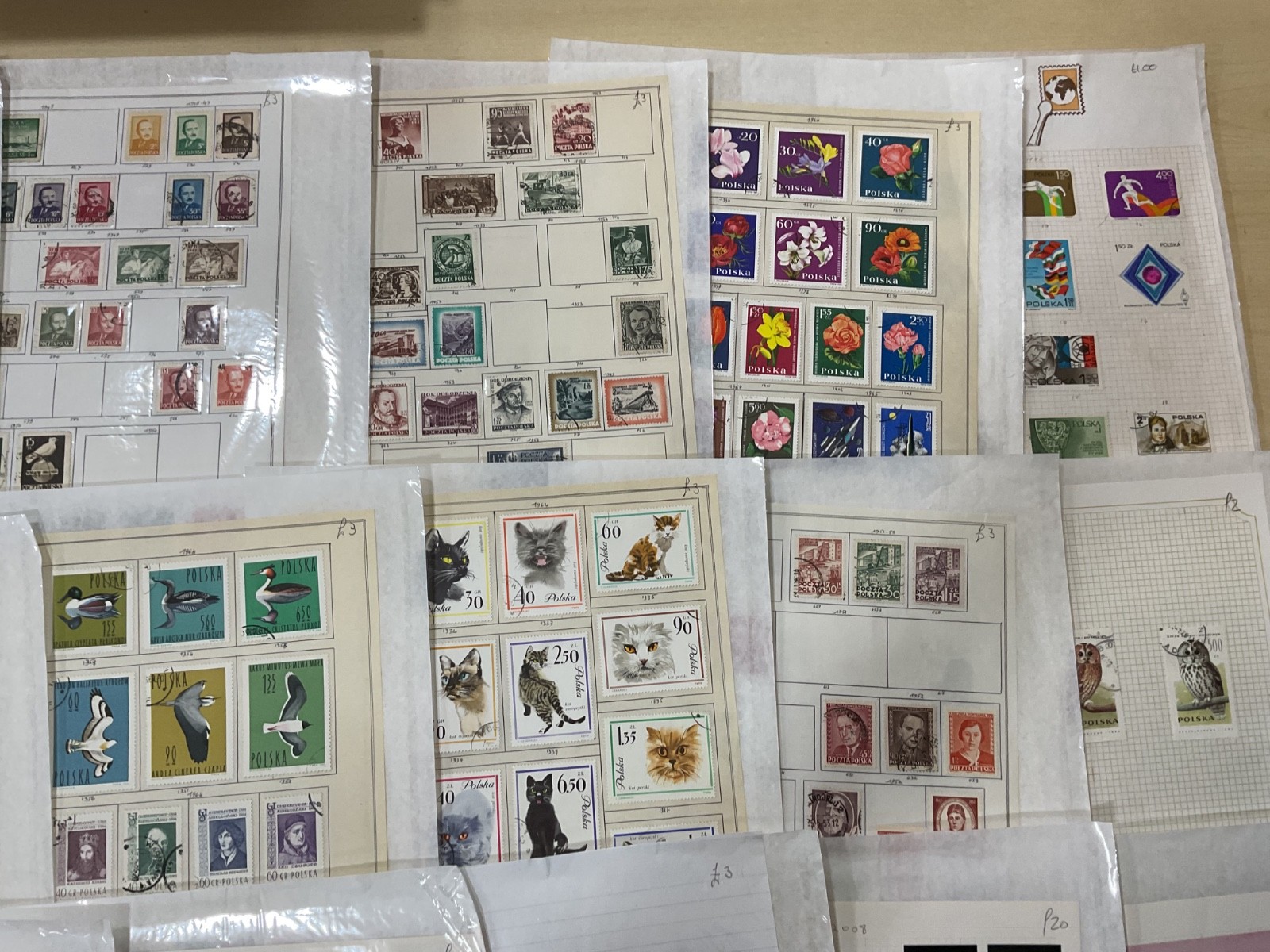Poland stamps. Ex dealer leaves. Mint/Used. Vintage to modern. 1.8kg G101