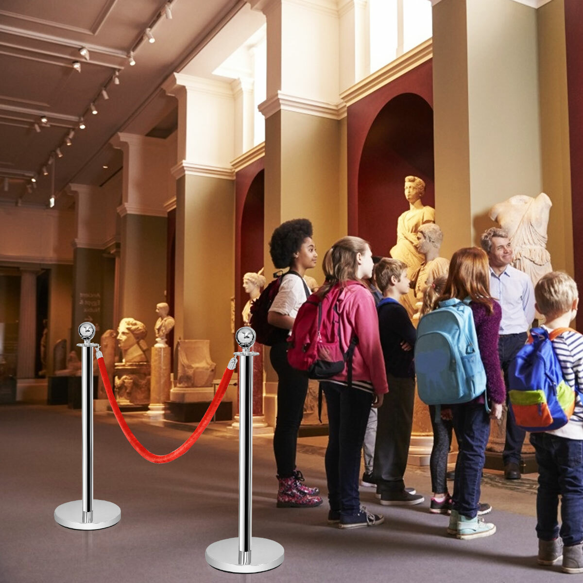 6Pcs Stanchion Posts Queue Pole Retractable 3 Velvet Ropes Crowd Control Barrier