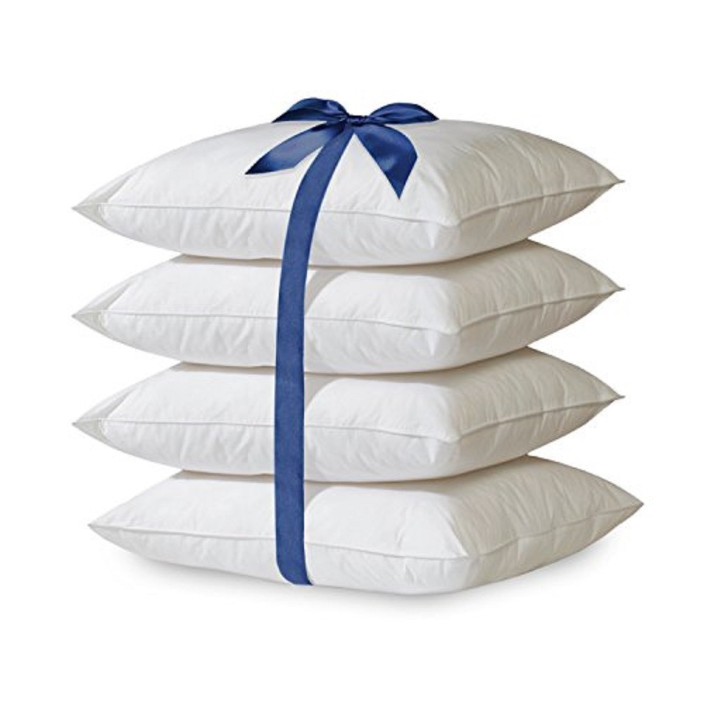 2/4 Pack Hypoallergenic Down-Alternative, Throw Pillow Inserts (20" x 20")