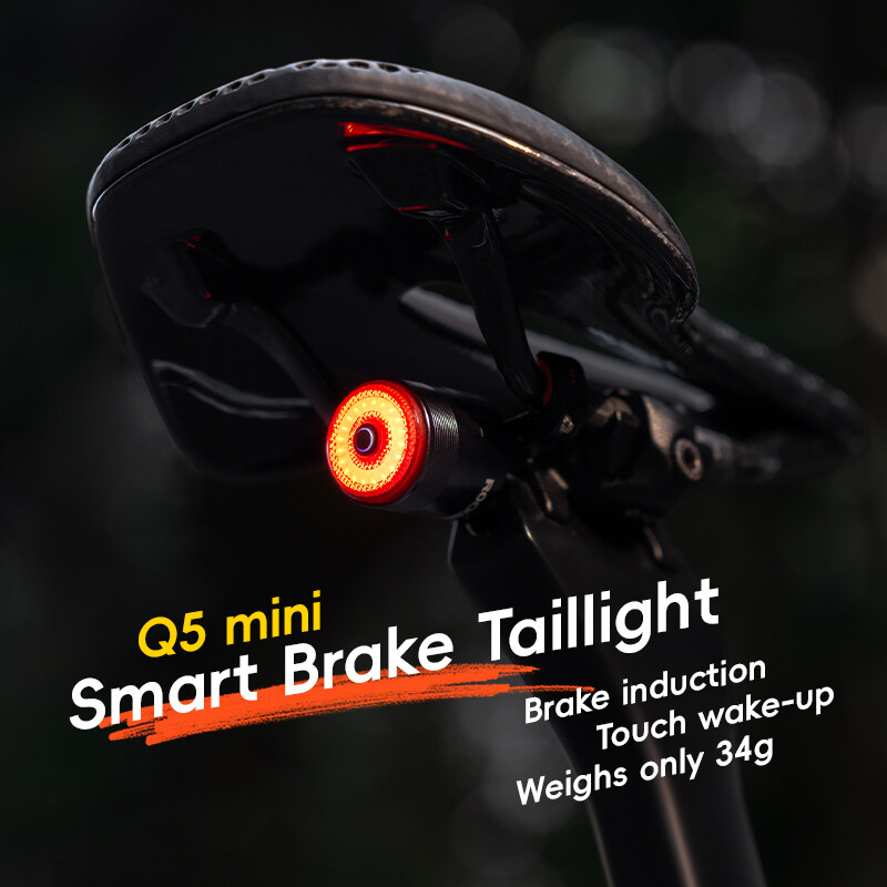ROCKBROS Smart Brake Taillight LED Bike Taillight Bicycle Rear Seat Light USB-C