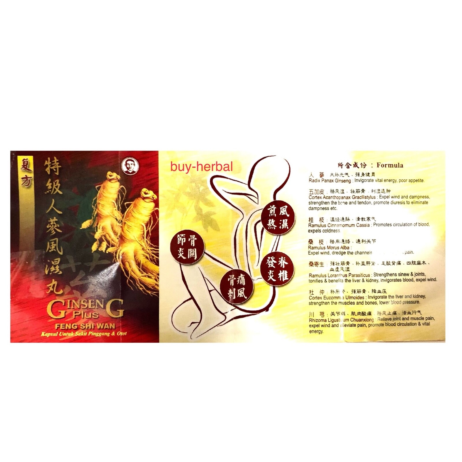 Ginseng Plus Feng Shi Wan for Rheumatism, Arthritis (Fast ship $3.95 within USA)