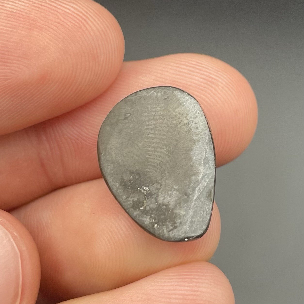 BEAUTIFUL FLASHY CANADIAN AMMOLITE GEMSTONE ALBERTA CANADA GORGEOUS