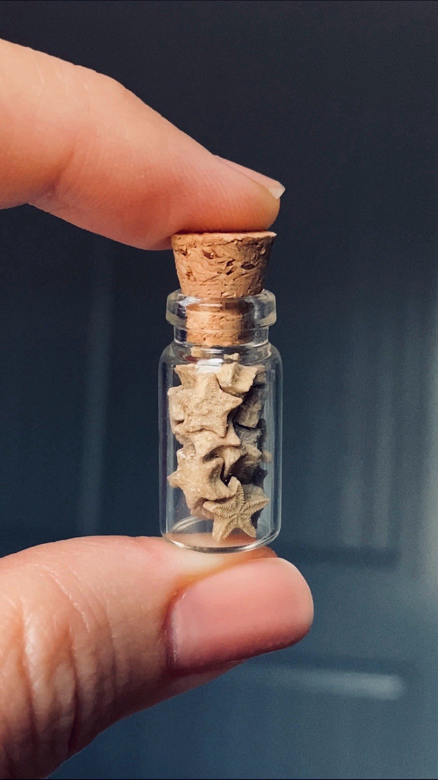 A Bottle of 18 Crinoid Star Fossils