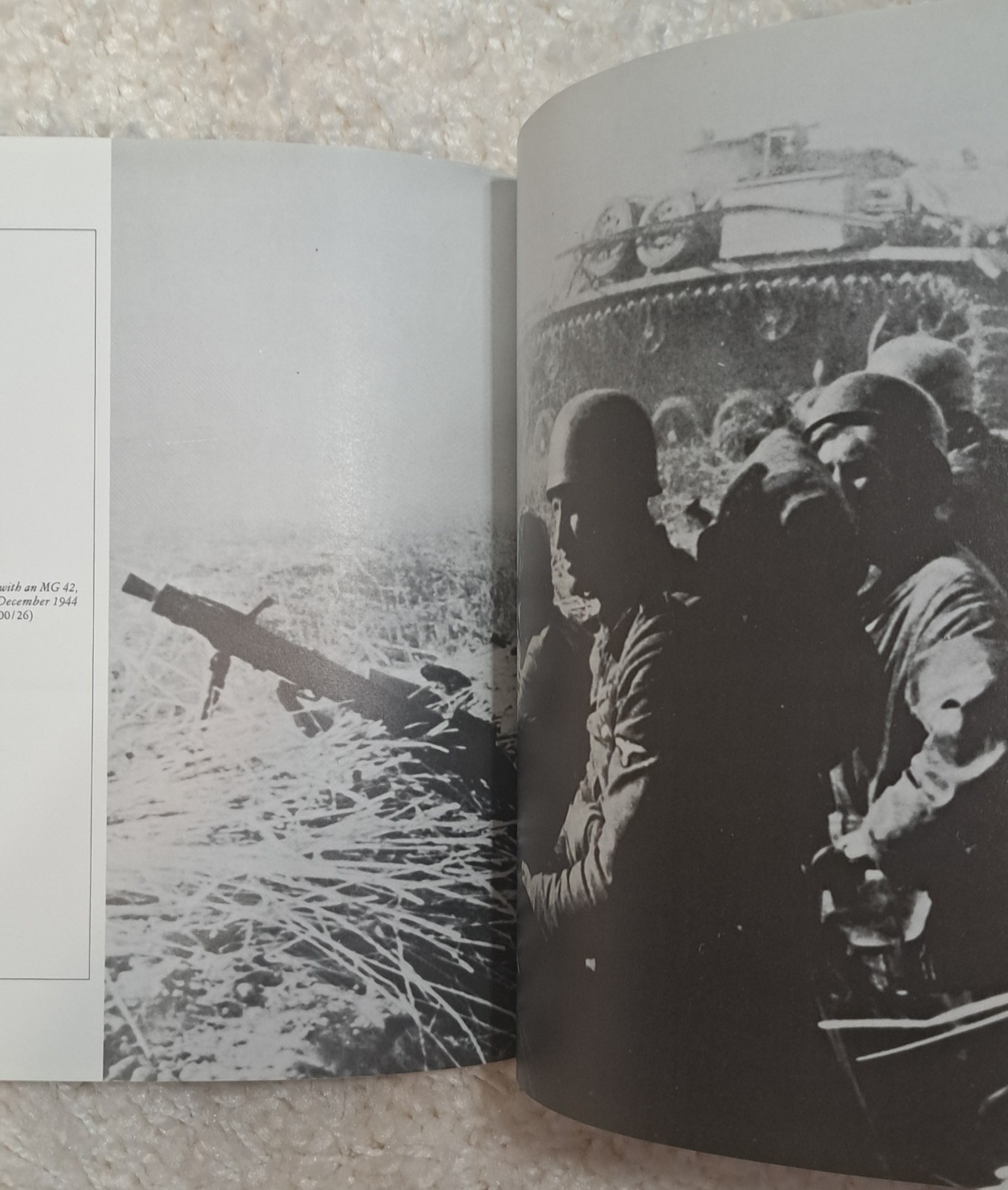 WEAPONS OF THE WAFFEN-SS: FROM SMALL ARMS TO TANKS By Bruce Quarrie - Softcover