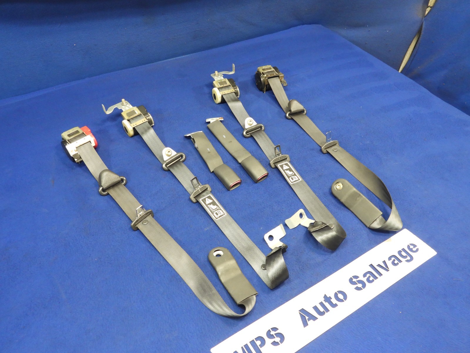 01 2001 Ford Mustang DK Charcoal Coupe Seatbelt Seatbelts OEM B64