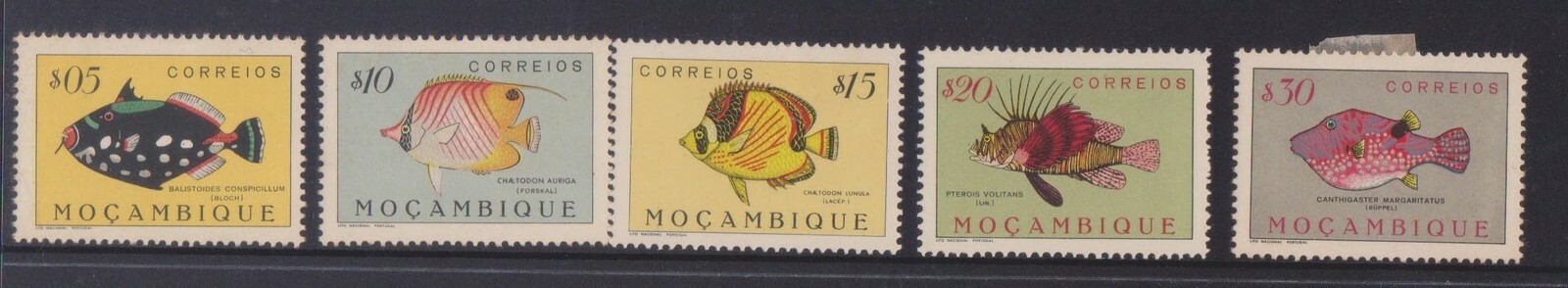 (Q71-29) 1951 Mozambique part set of 5stamps 5c, $10 $20 &$30 MH (AD) (AY57)