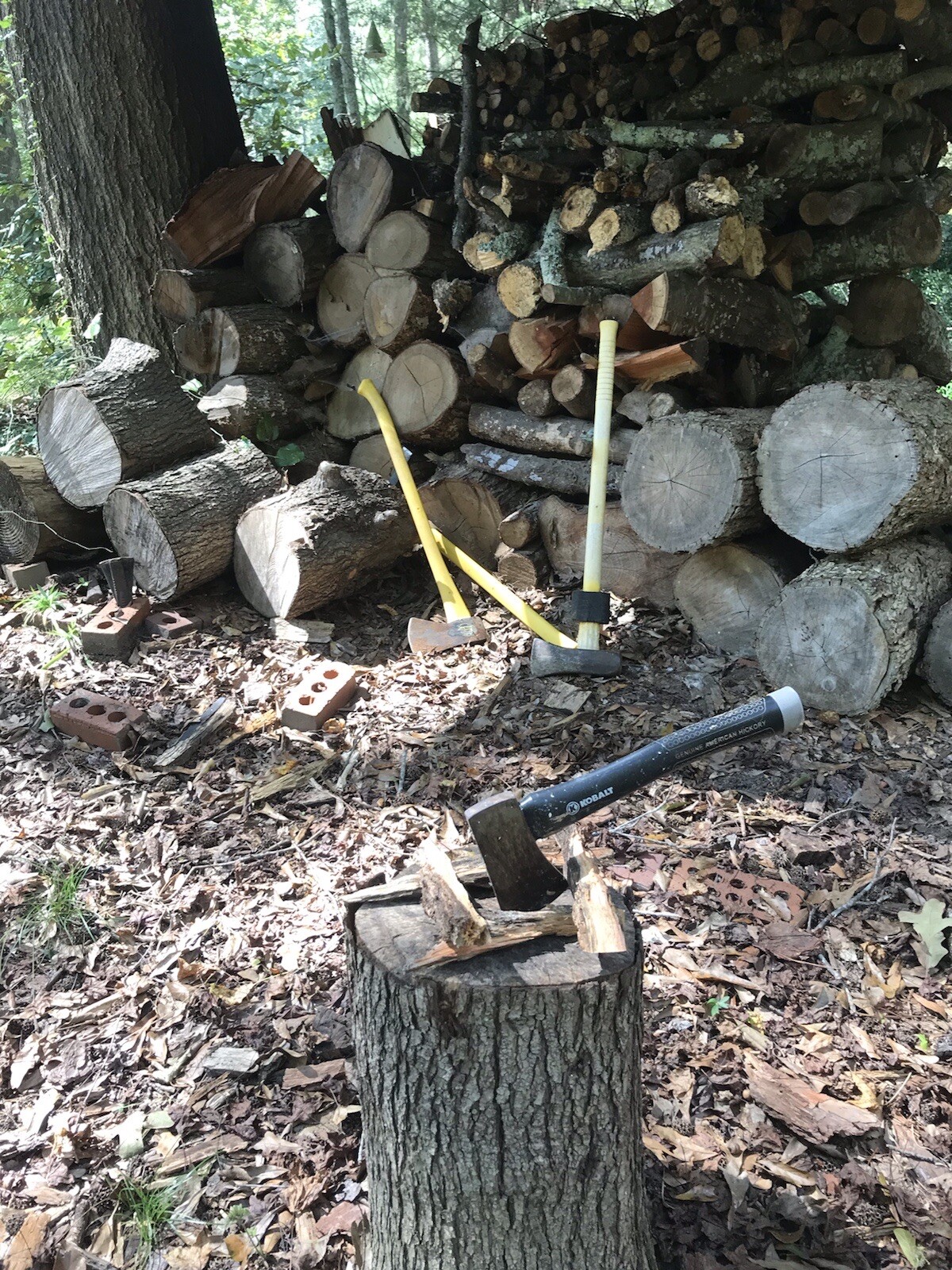 10 lbs Georgia ”FATWOOD FUEL” Kindling Firewood Lighter Ocote Chez JonesTHE BEST