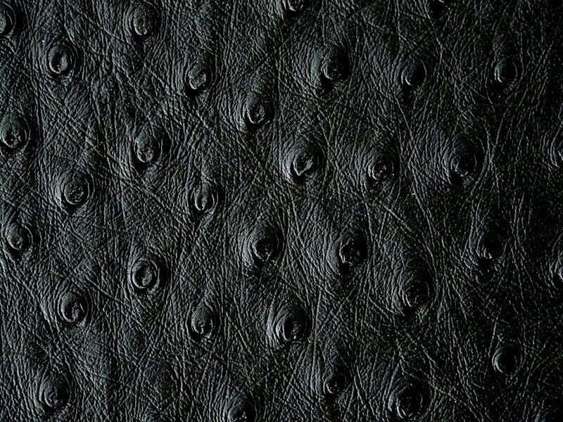 Ostrich Leather Hide, Black SF Color