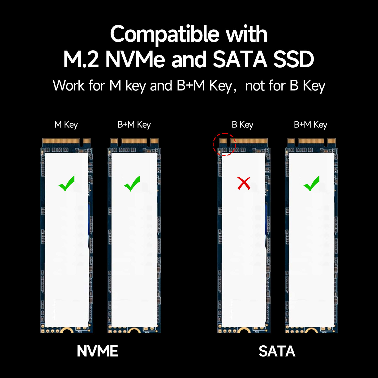 Fanxiang M.2 NVMe SATA SSD Enclosure USB Type C 10Gbps NVMe SSD External Case