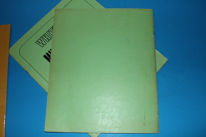 White Ace Mint Sheet File Capacity 14 pgs 1 pocket 12" x 9.75" BlueLakeStamps