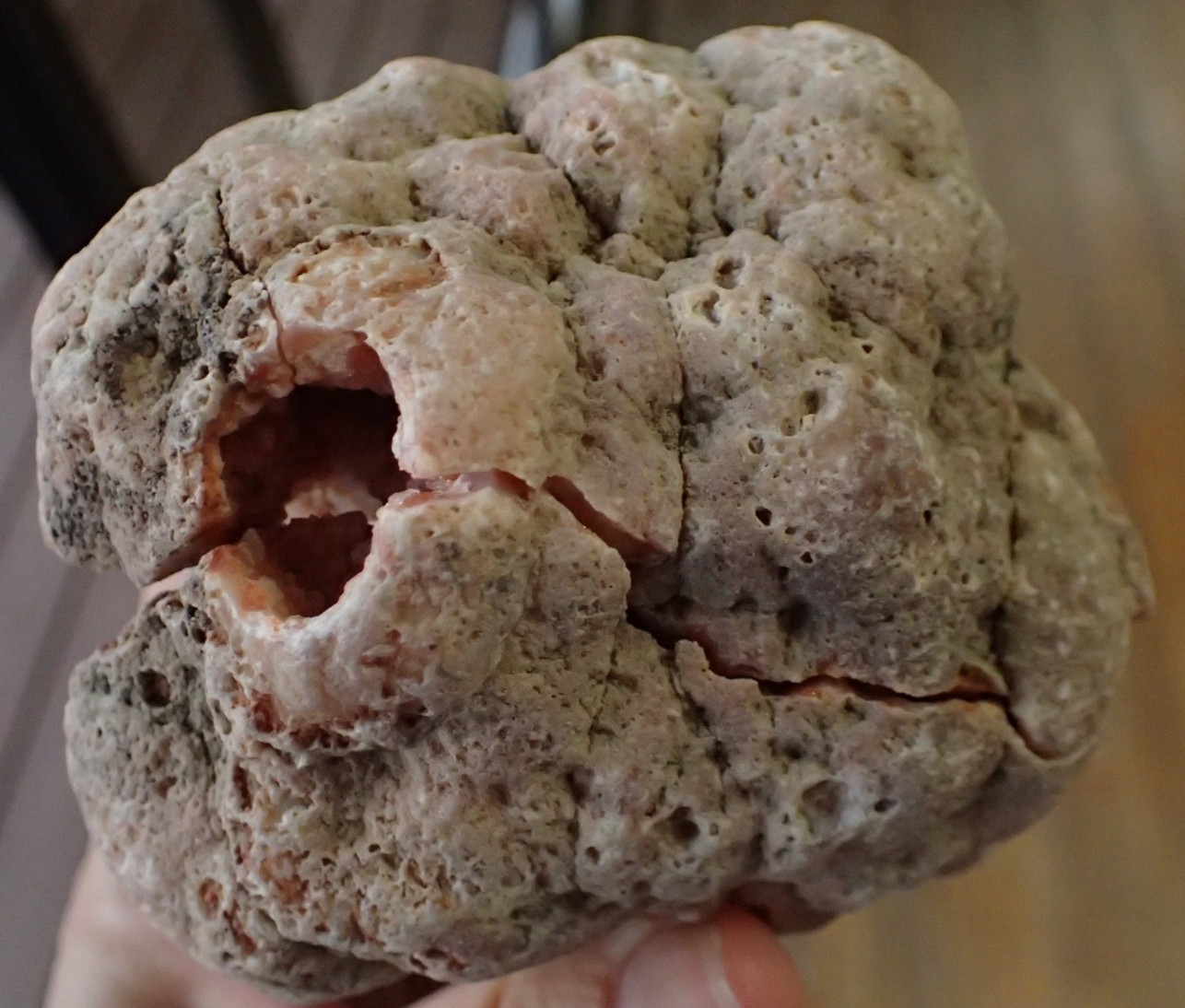 Square Botryoidal 2 Piece Geode KY Agate Gems Specimen Geology Rare Red Pink KG7