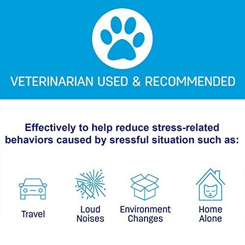 30-Day Calming Collar for Cats Natural Pheromone Lavender Lemongrass Kitty Gray