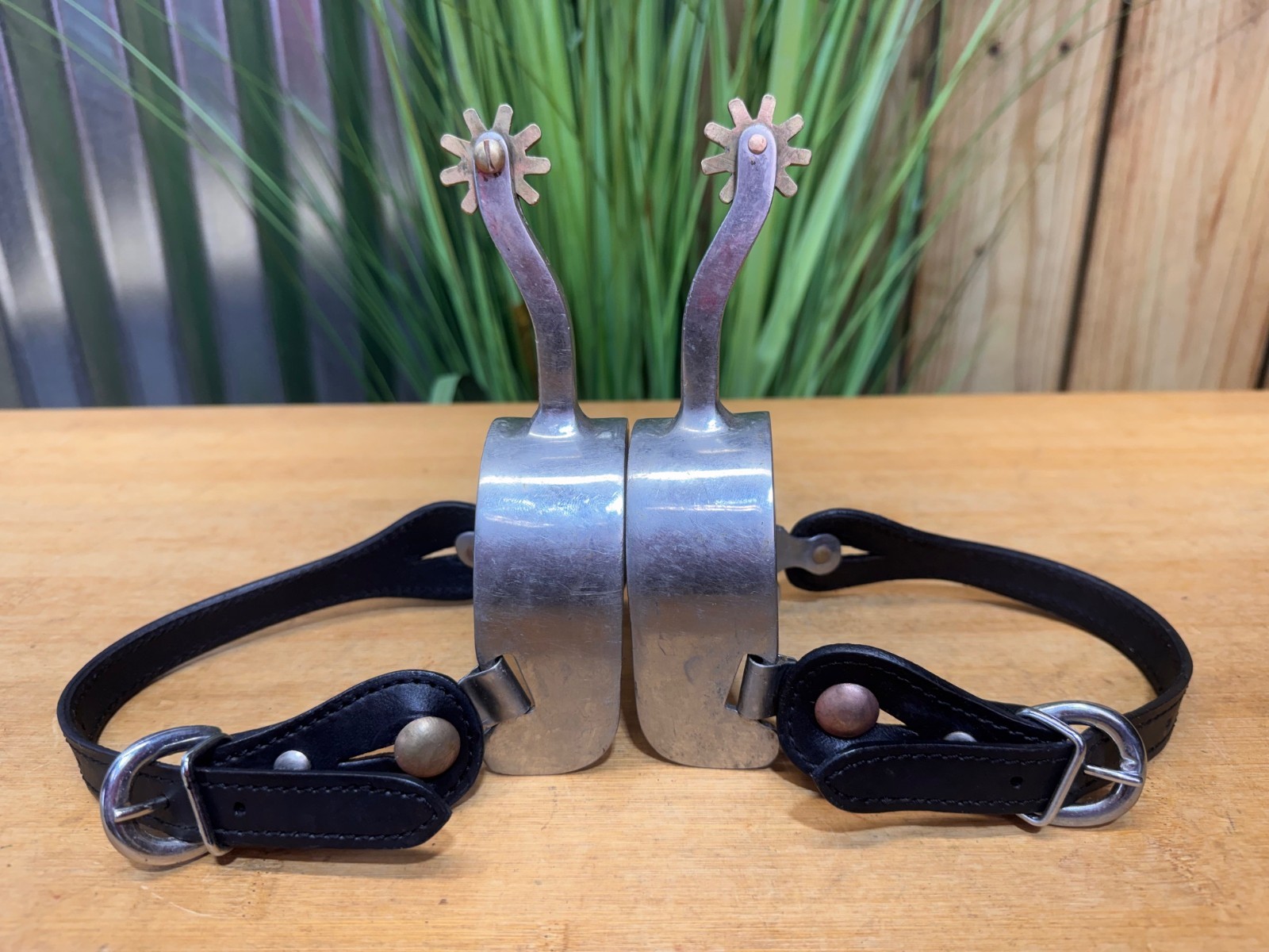 Long Shank Stainless Steel Western EQUITATION Spurs w Black Leather Straps