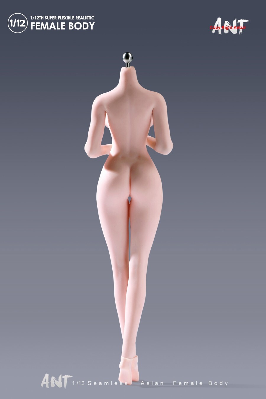 US ANT 1:12 Pale Large Breast Plump Hip Seamless Female Action Figure Body Doll