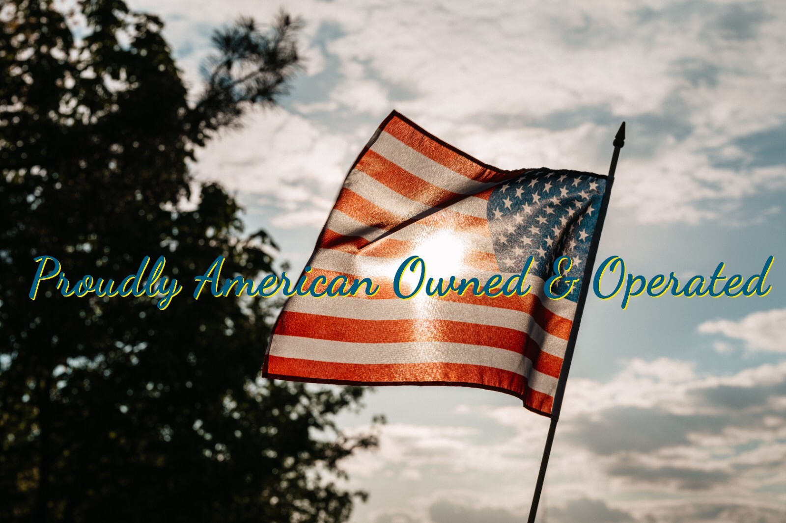 10 Pack 2-Prong Teeth For Vermeer 503I 504H 505L 5400 5410 5500 554 555 604 605