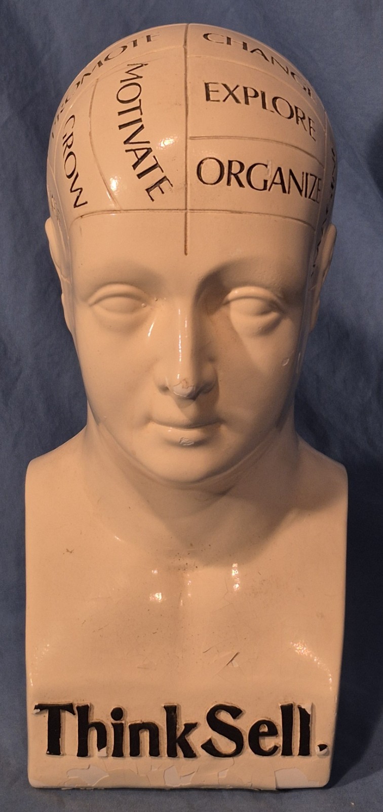 Vintage 11" Phrenology Bust / Head Statue, Chalkware (?),  Scientific Psychology