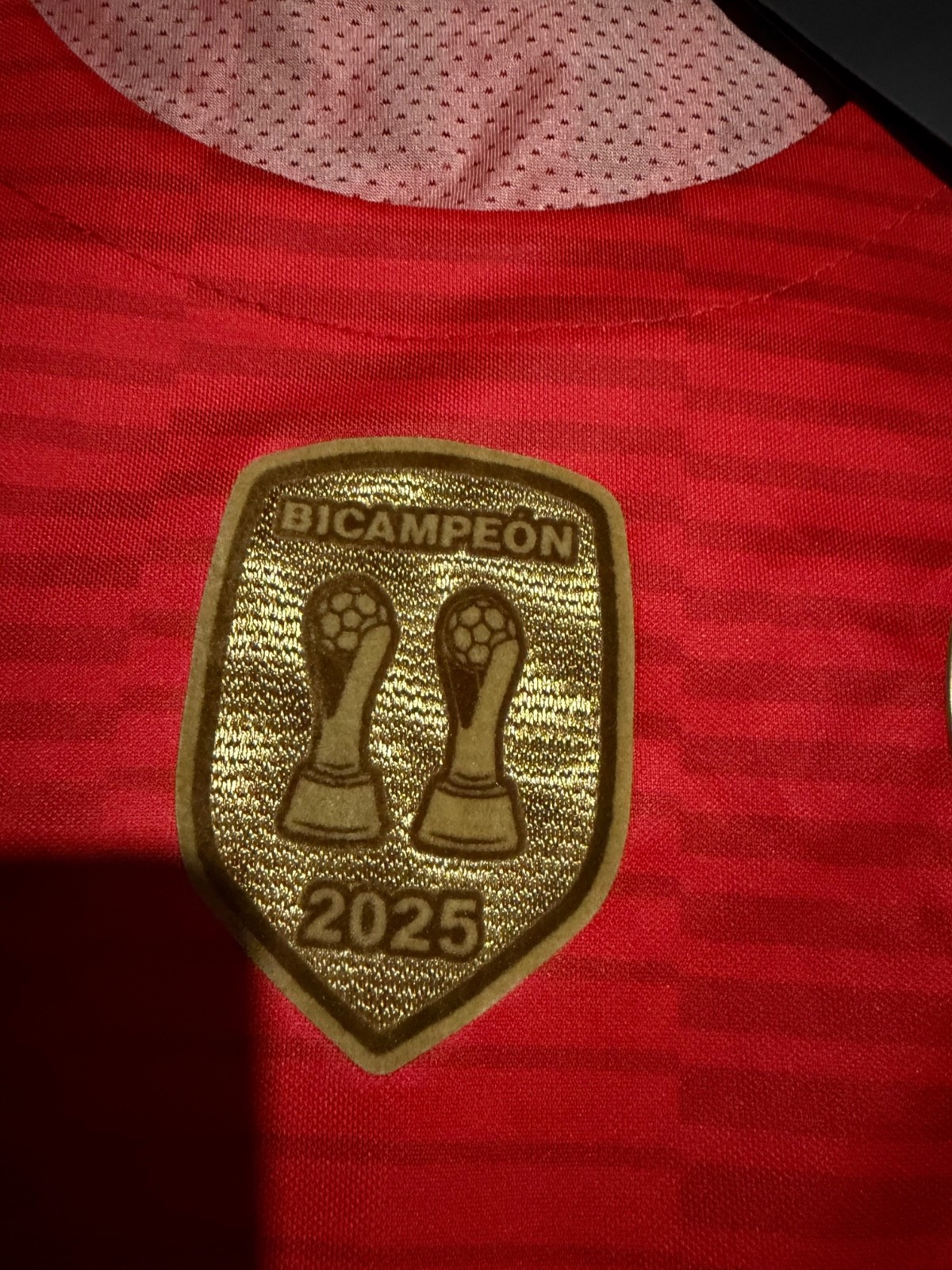 Toluca F.C 2025/26 BICAMPIÒN Home S-4X PLEASE READ DESCRIPTION