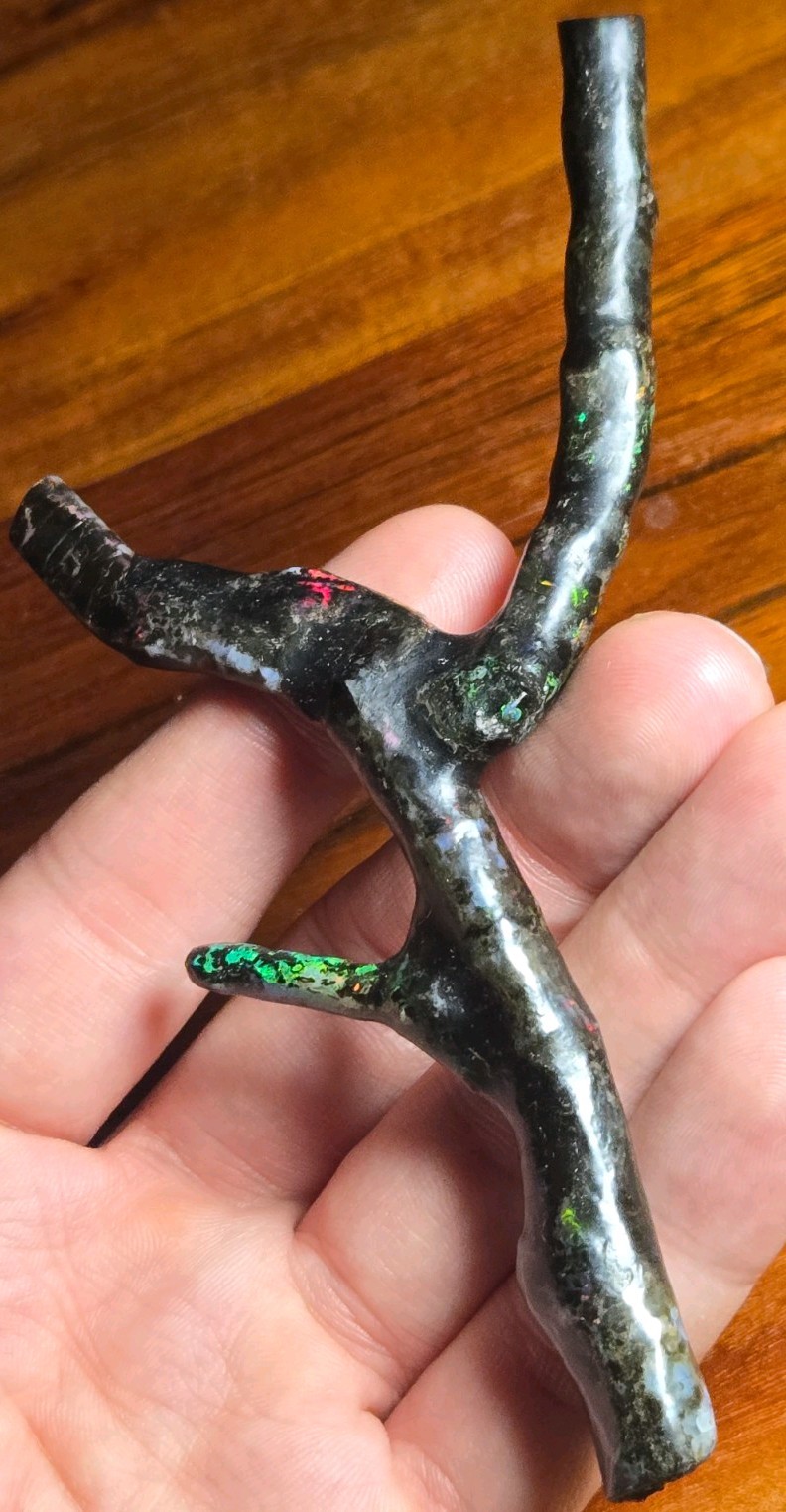 ULTRA RARE! LARGE GENUINE COLORFUL NATURAL OPAL IN BLACK PETRIFIED WOOD FOSSIL!