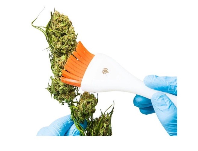 CannaBrush Trimming Brush Ergonomic Hand Brush for Leaf Removal FAST & EFFECTIVE