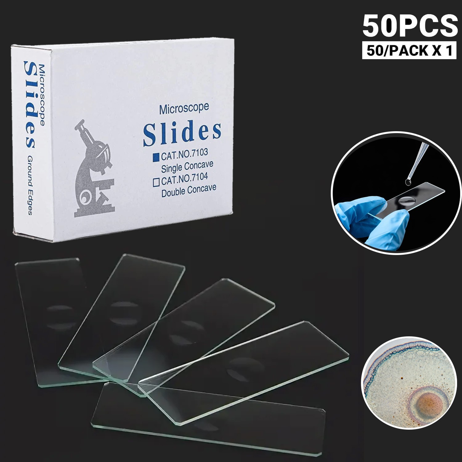 Concave Microscope Glass Slides Single Depression 1x3" Pack of 50 Slides