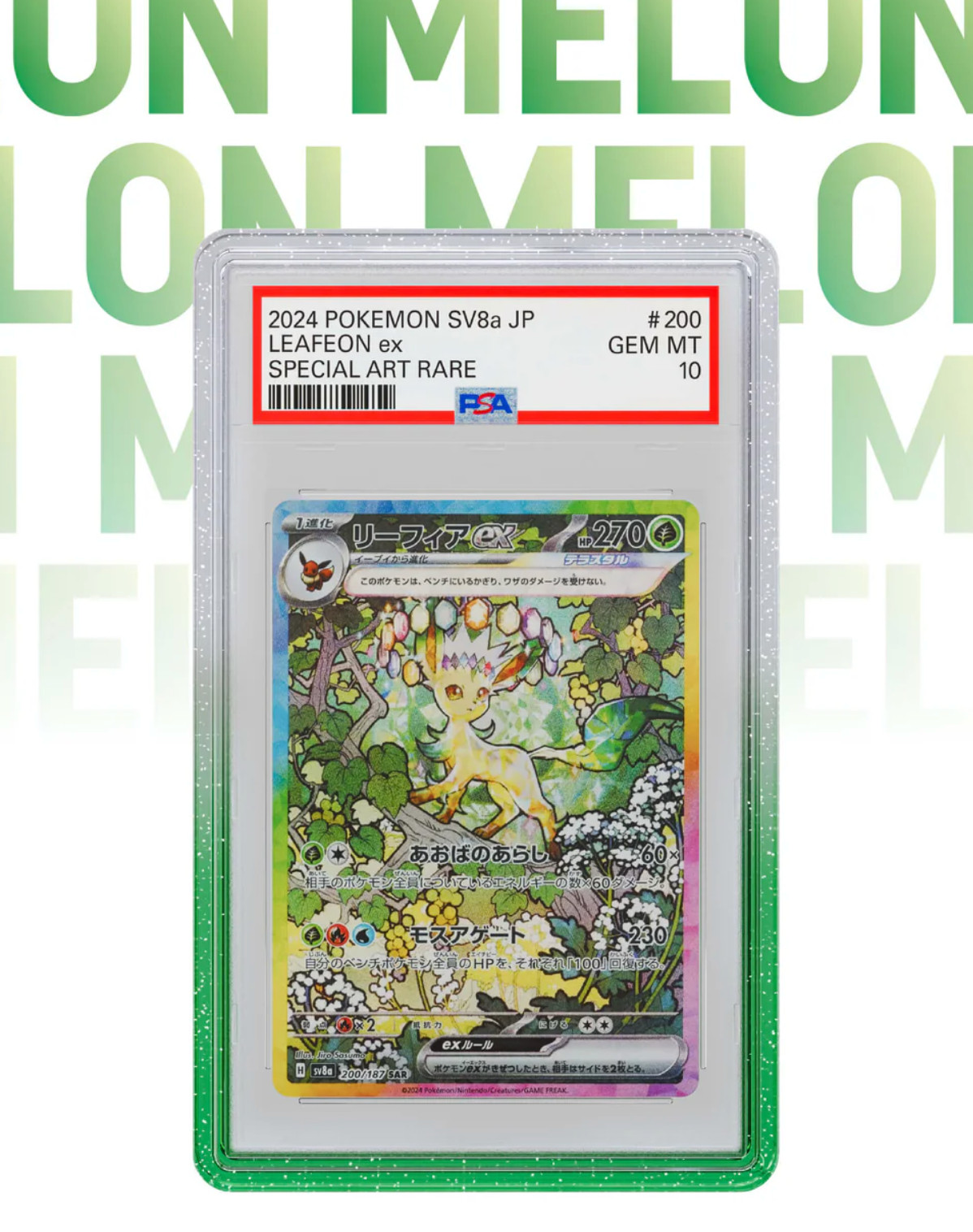 GradedGuard PSA Graded Card Case Guard Protector MELON Limited Edition