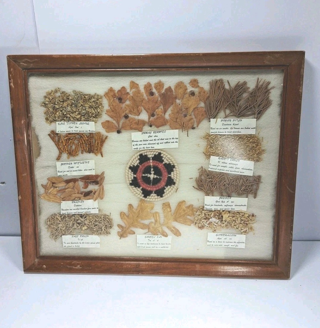 Navajo Medicine Chart  Arletta Henderson Native American Framed Vintage