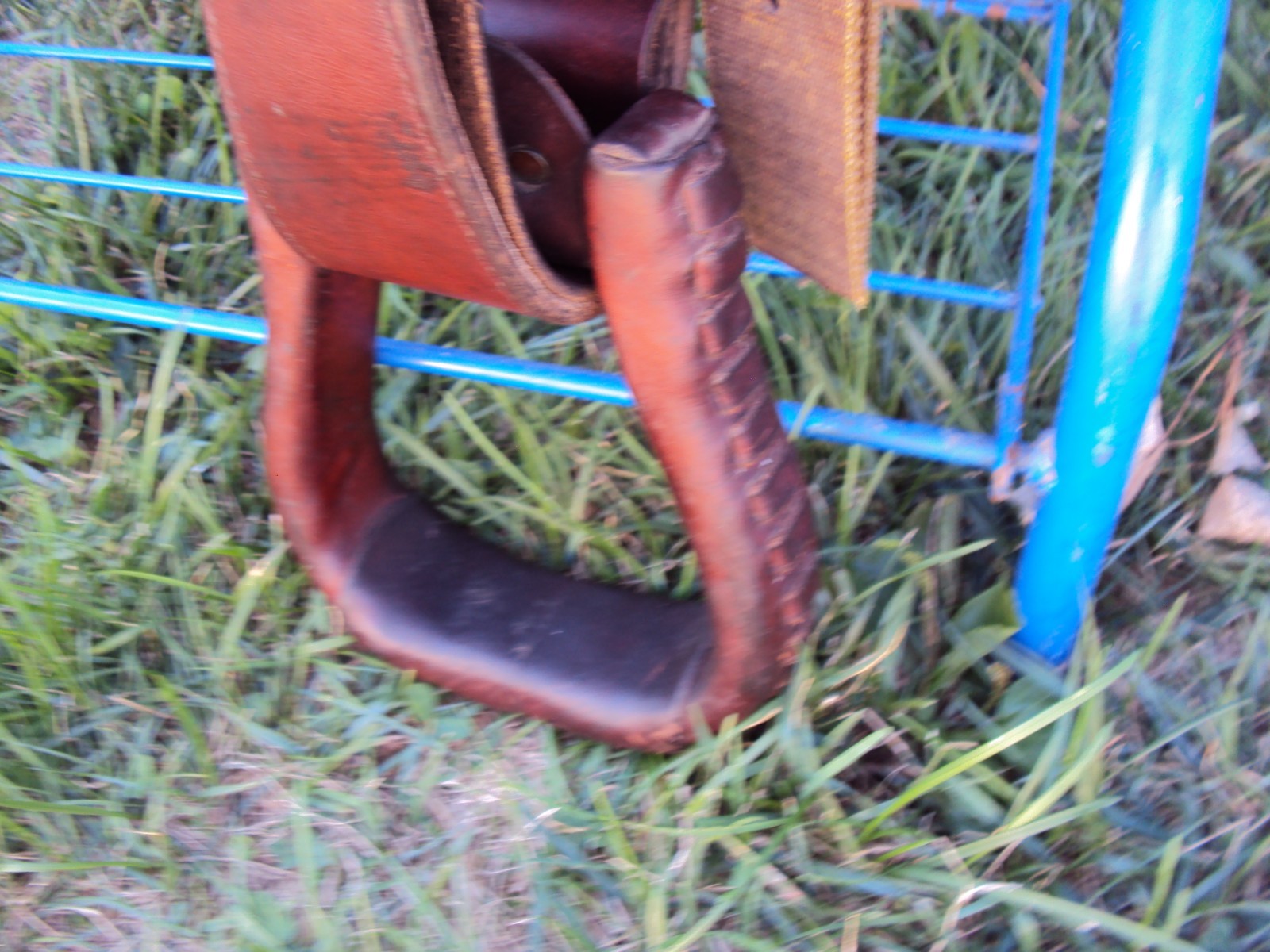 CIRCLE Y Western Show Saddle - 15" - SILVER CONCHOS - Padded Seat - BEAUTIFUL!