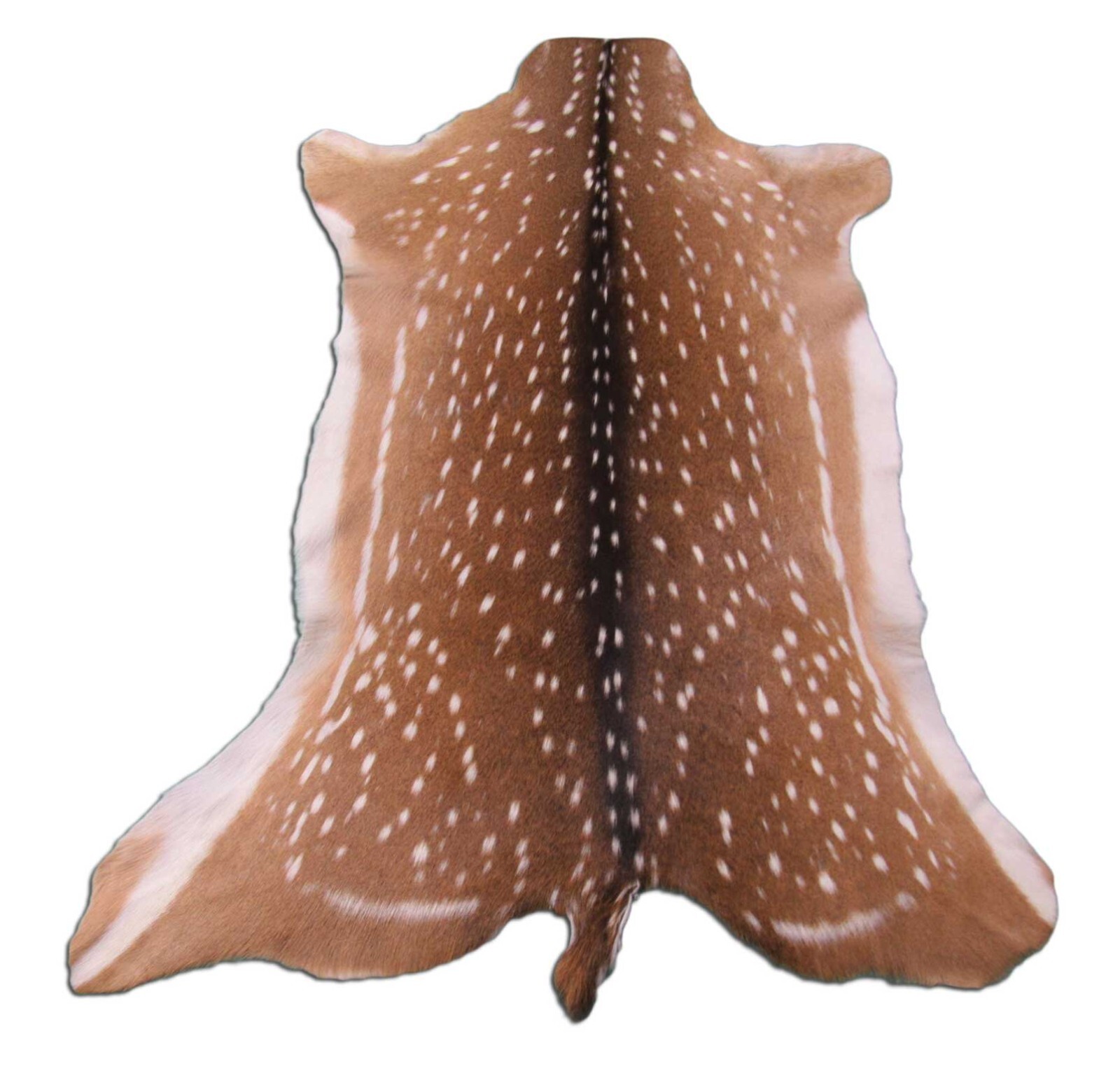 Axis Deer Skin Hide Average Size: 37" X 30" Top Grade Axis Deer Hide Top Grade