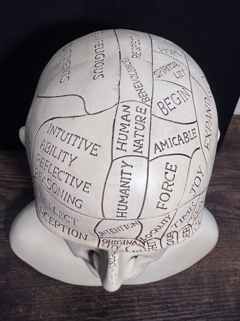 L.N. Fowler Phrenology Head Bust Ceramic Statue Medical History Decor Psychology