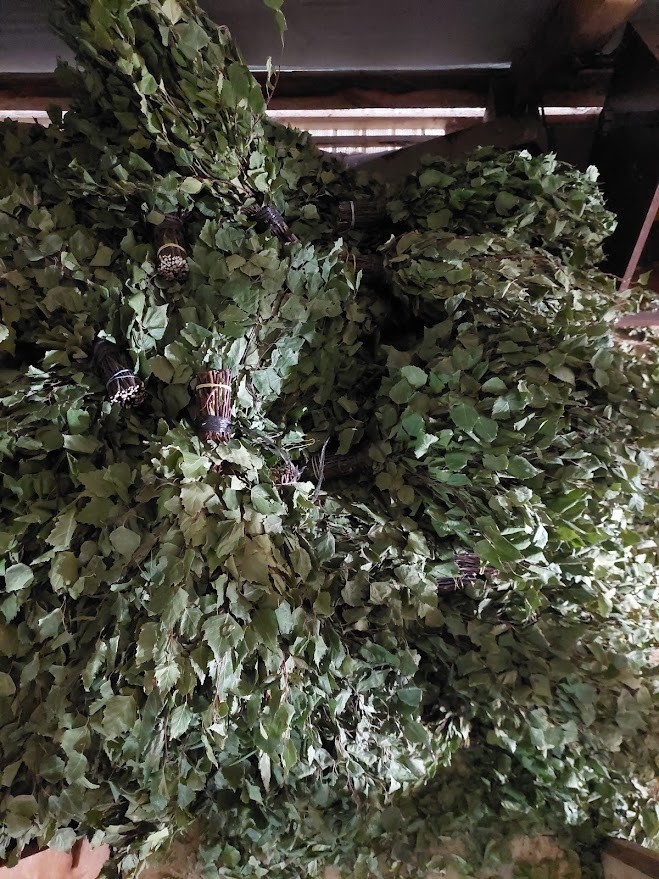 12st Birch brooms sauna banya venik whisks Eiche 2025 Ukrainian free shipping