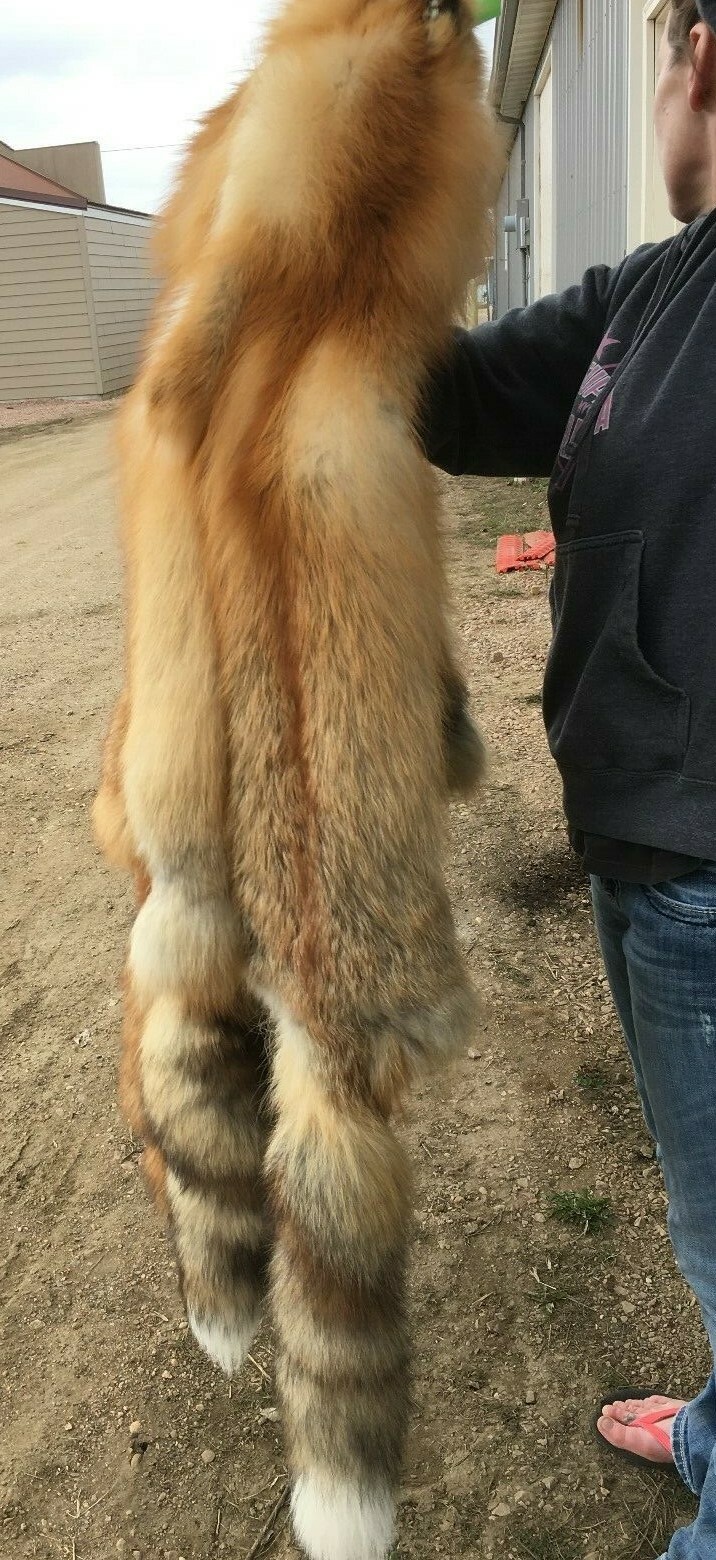 Tanned Red Fox Winter “Heavy Fur” Western XL, some Imperfections (rfwhimp)