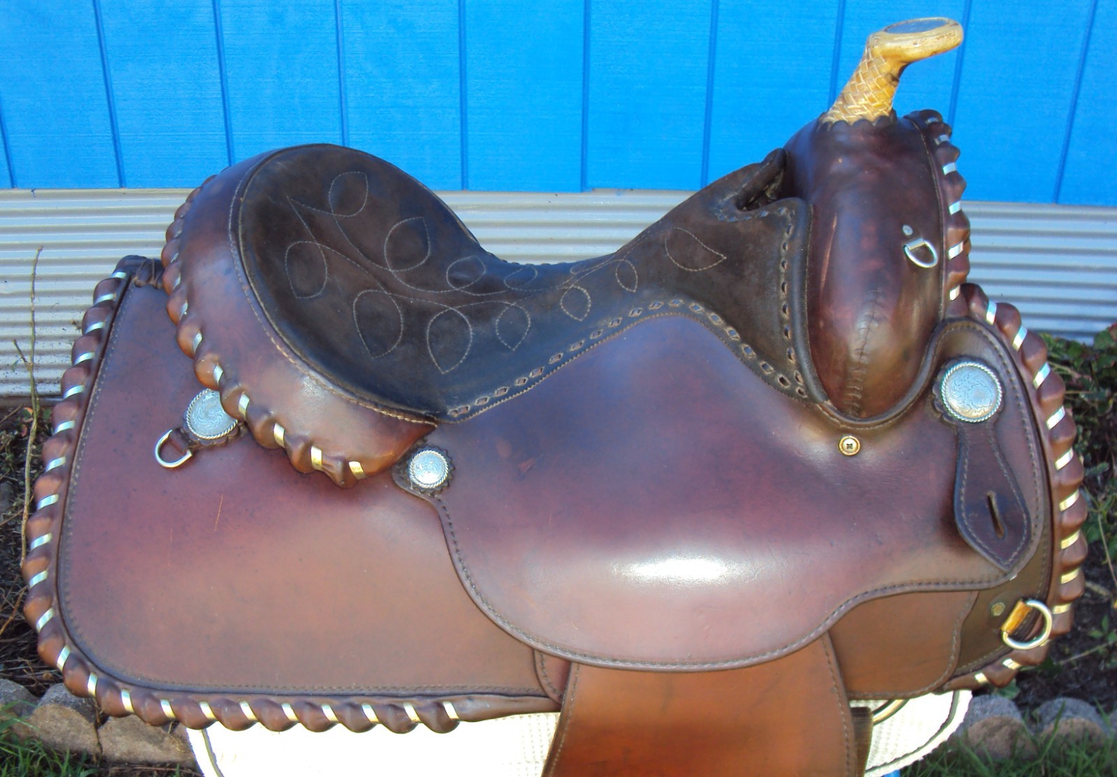 CIRCLE Y Western Show Saddle - 15" - SILVER CONCHOS - Padded Seat - BEAUTIFUL!