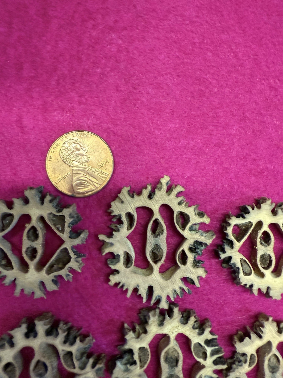 Black Walnut Shell Slices For Crafts - 20 Pieces - Vintage