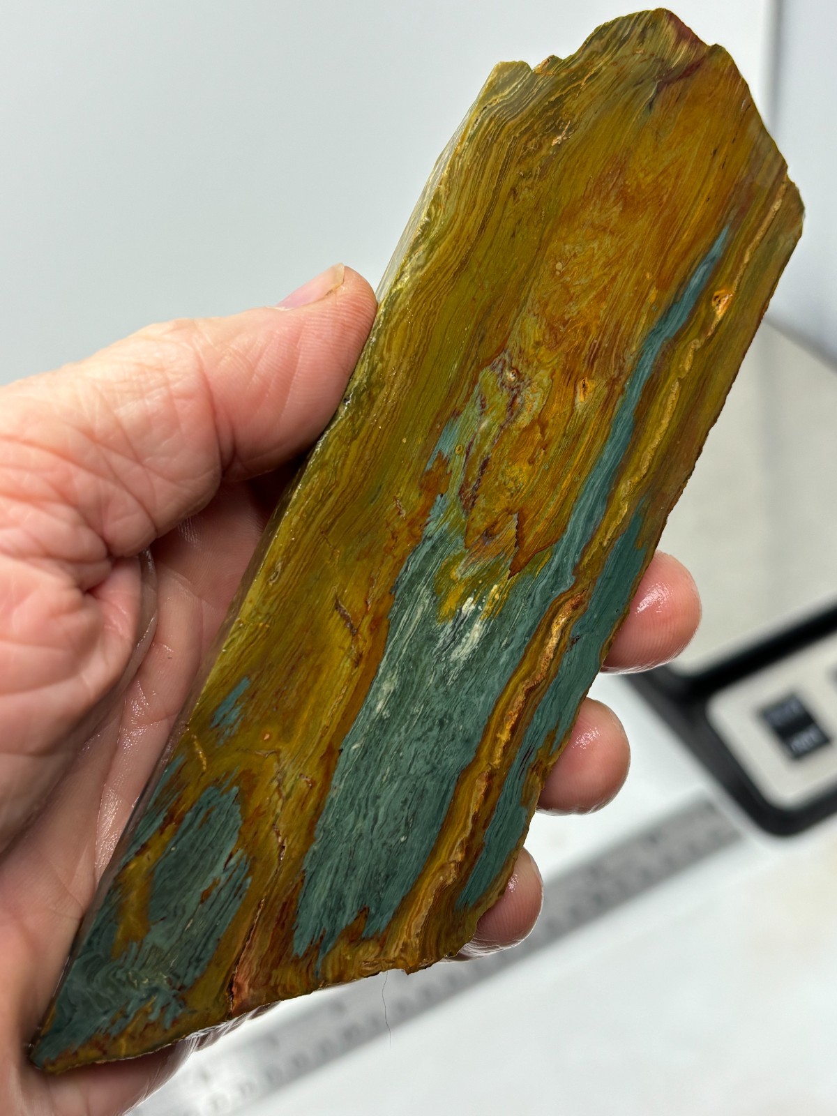 Gary Green Caldera Freedom Jasper Slab Cabbing Lapidary Combo Ship Avail