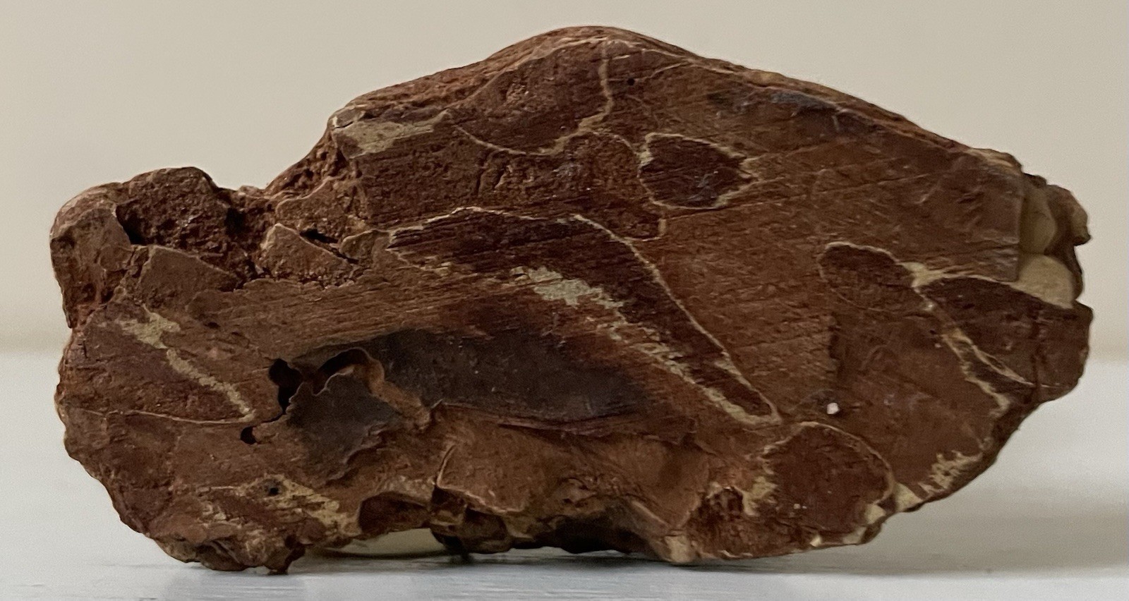 Vintage Bovano Of Cheshire Ornamental Sculpture On Drift Wood & Metal Flowers