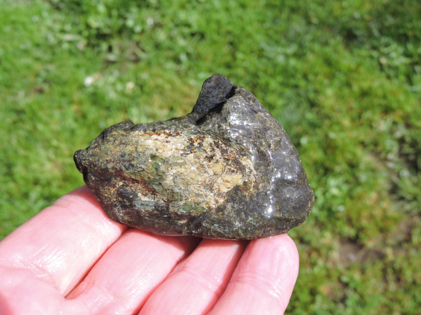 OREGON DARK GREEN SERPENTINE Rough Stones. *MAGNETIC* 100% Natural (8 lb)