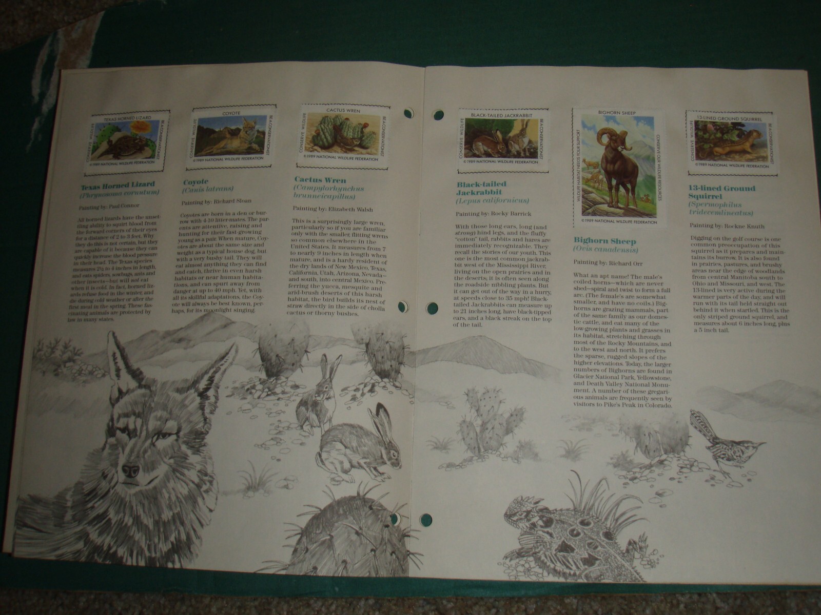 usa stamps collections lots-19th century forward on old album pages