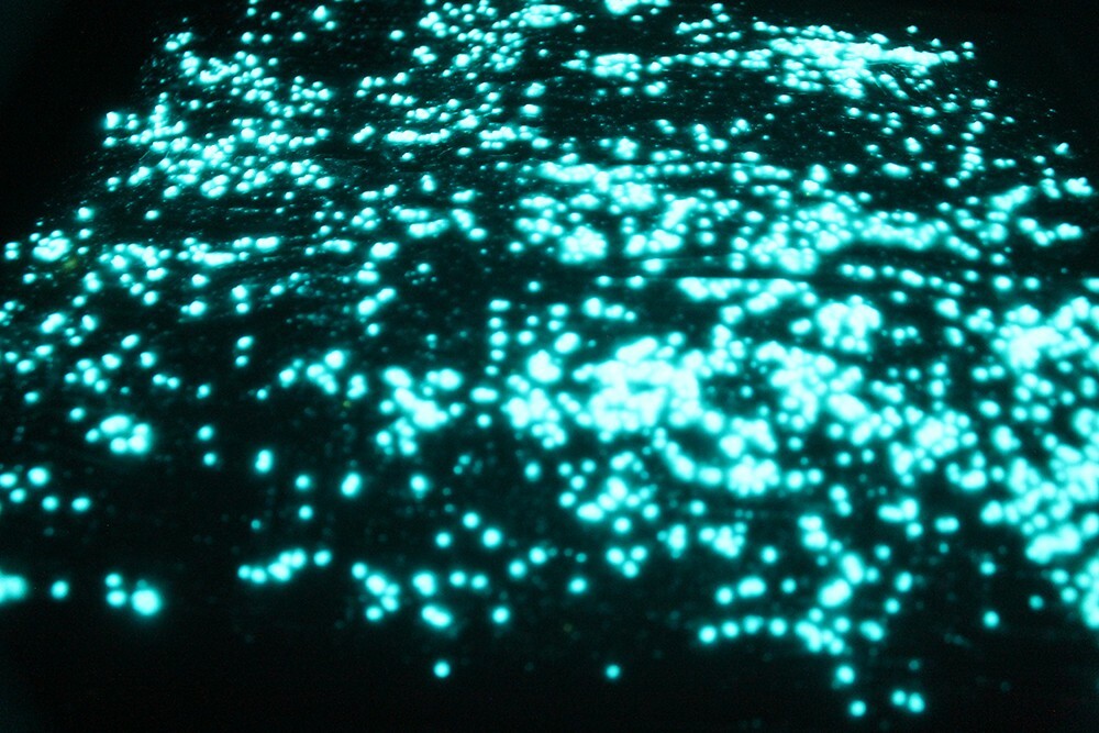 Glow in the Dark StarMaker Large Crystal Sand Strontium Aluminate Luminous Paint