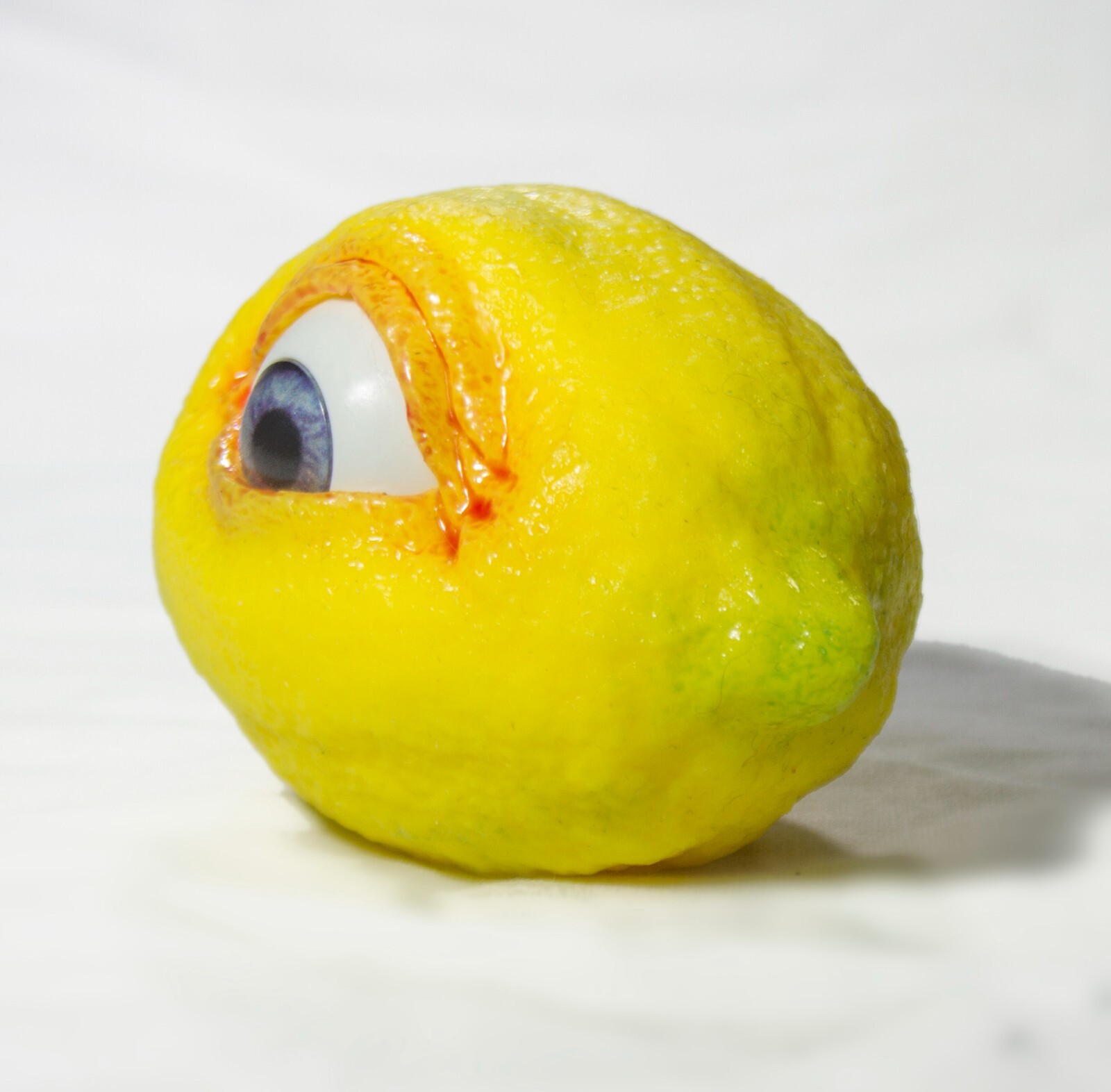 The All Seeing Lemon