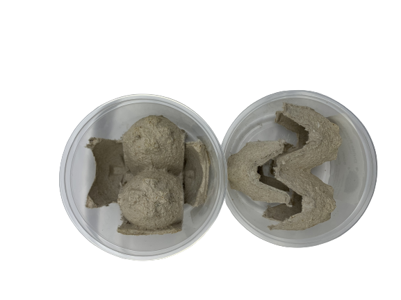 Live Mealworms Sizes: All Qty:50-2,000 Free Shipping or FedEx!!