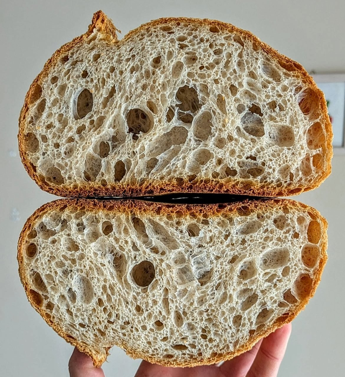 1000 year old ITALY Sourdough Starter - Camaldoli Monastery | Organic Dehydrated