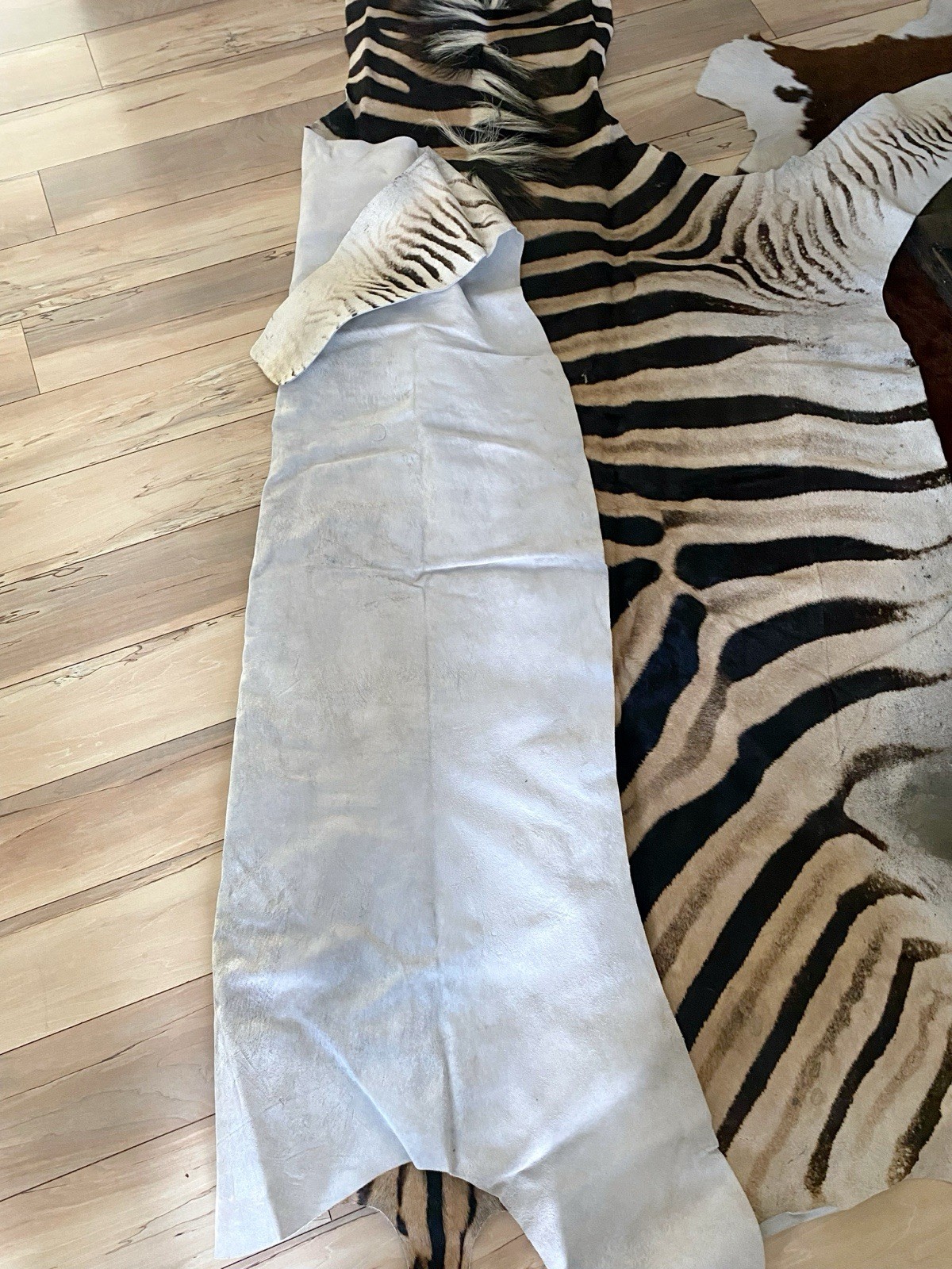 BEAUTIFUL GENUINE EQUUS BURCHELL ZEBRA SKIN RUG HIDE - US SHIPPER