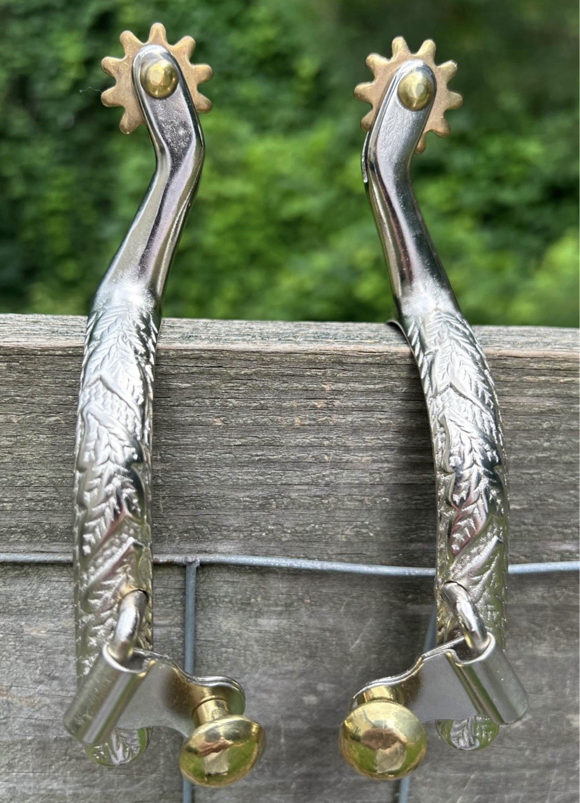 Pair Ladies Western Engraved Stainless Steel Spurs Brass Rowels And Buttons