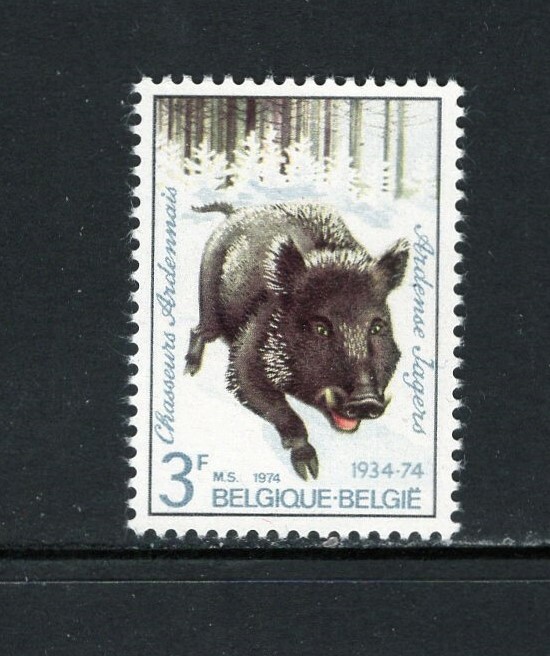Belgium 1974 WILD BOAR (REGIMENTAL EMBLEM) SC 883 MNH